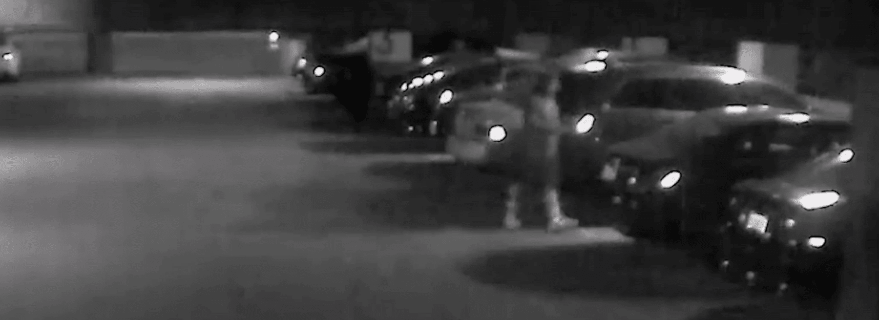 Arrest of California Car Prowler